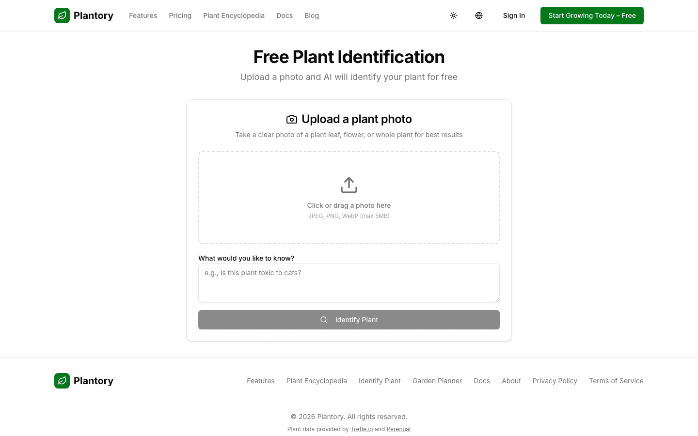 Plant identification upload form where you can submit a photo for AI analysis